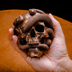 skull & snake statue skull & snake statue