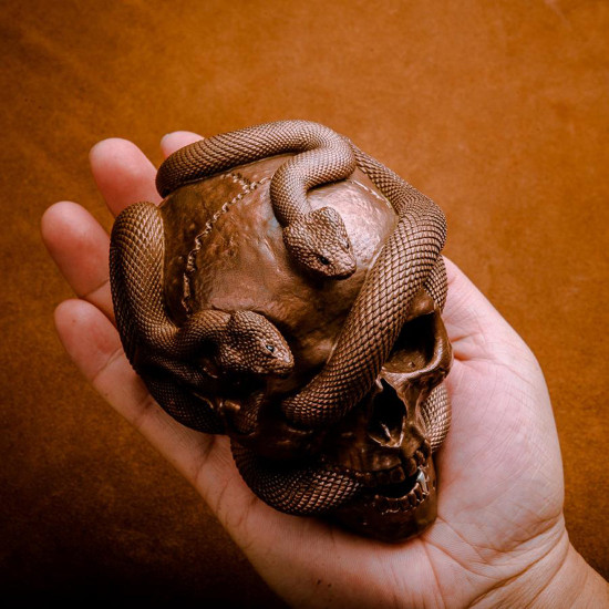 skull & snake statue skull & snake statue