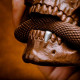 skull & snake statue skull & snake statue