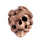skull & snake statue skull & snake statue
